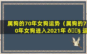 属狗的70年女狗运势（属狗的70年女狗进入2021年 🐧 运气好不好呢）